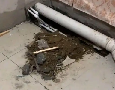 辽中卫生间漏水检测哪家好